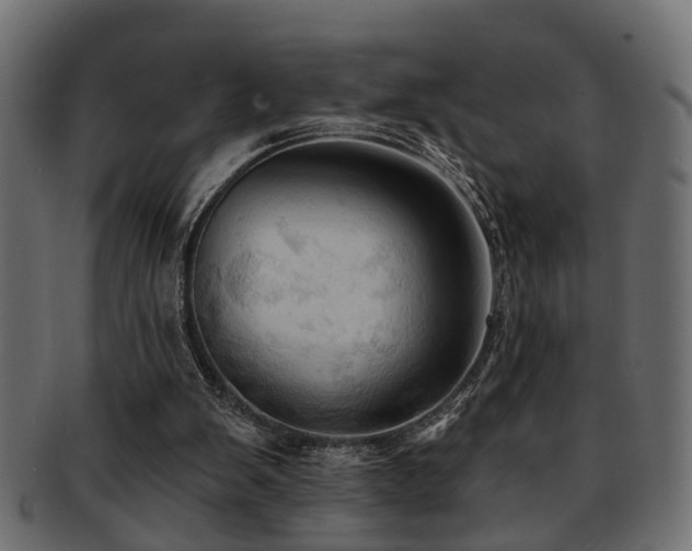 X0000093250103200709261727