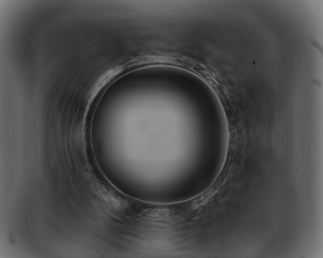 X0000093250104200709261727