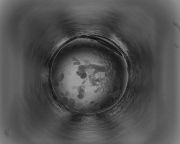 X0000093250107200709261727