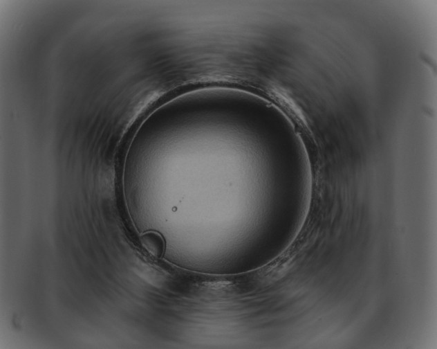 X0000093250108200709261727