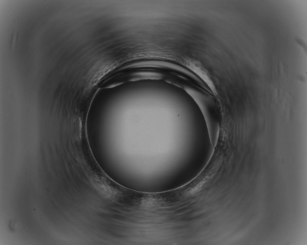 X0000093250109200709261727