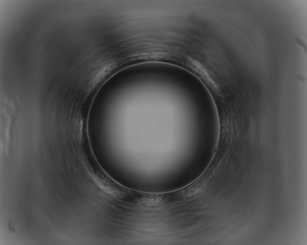 X0000093250110200709261727