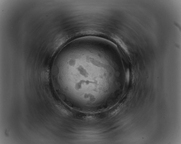 X0000093250111200709261727