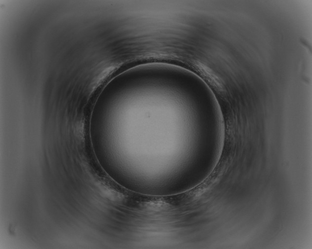 X0000093250112200709261727