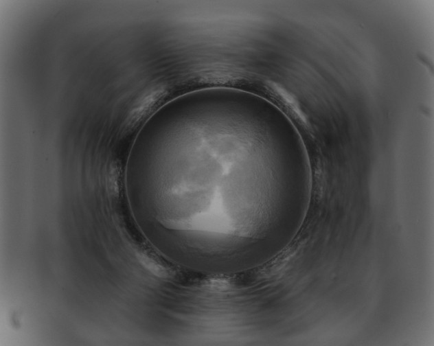 X0000093250114200709261727