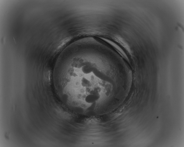 X0000093250115200709261727
