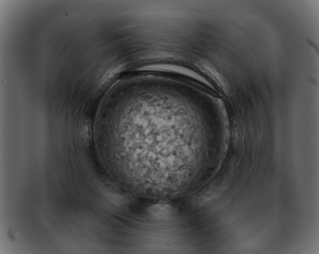 X0000093250119200709261727