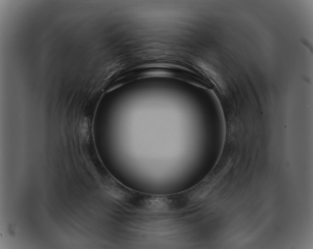X0000093250121200709261727