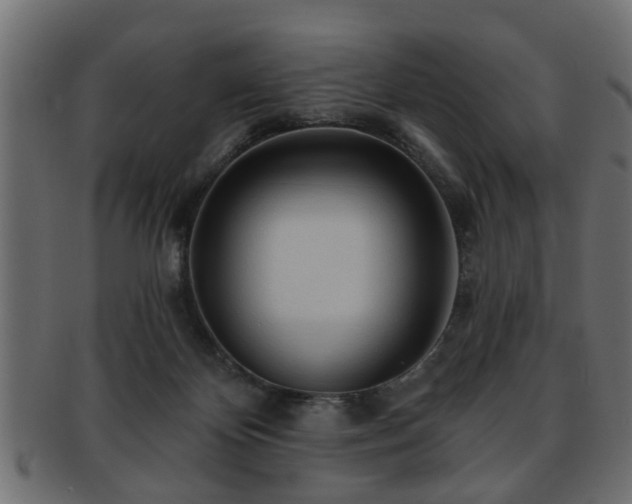 X0000093250124200709261727