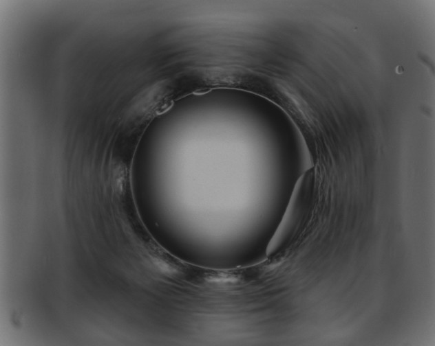X0000093250125200709261727