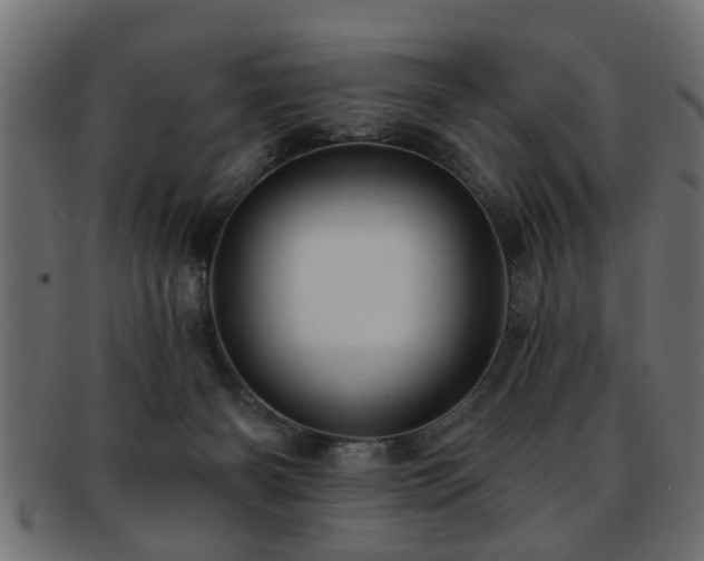 X0000093250126200709261727