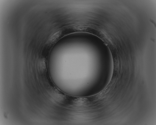 X0000093250128200709261727