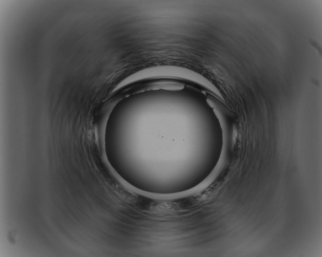 X0000093250129200709261727