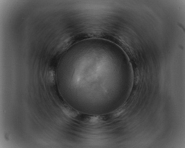 X0000093250130200709261727