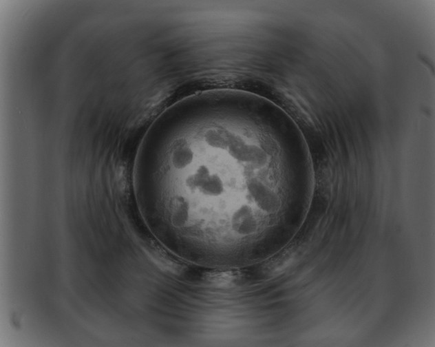 X0000093250131200709261727