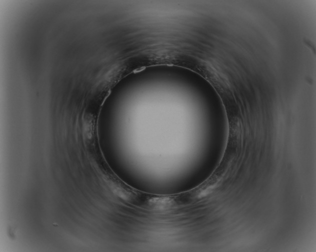 X0000093250133200709261727