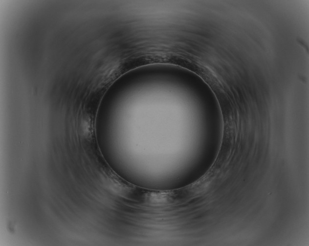 X0000093250134200709261727
