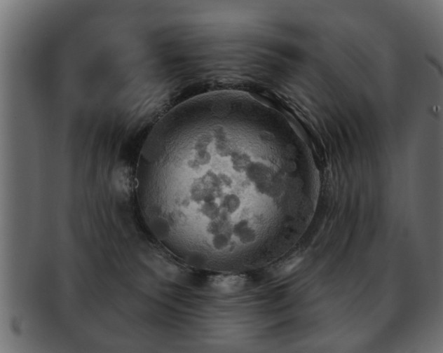 X0000093250135200709261727