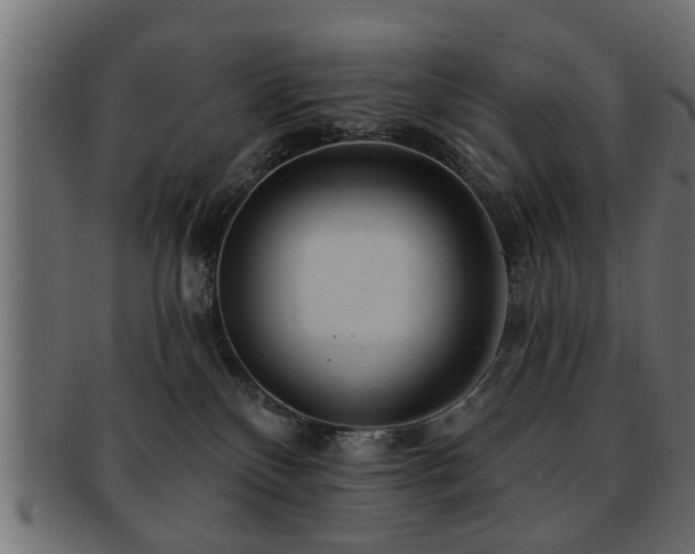 X0000093250136200709261727