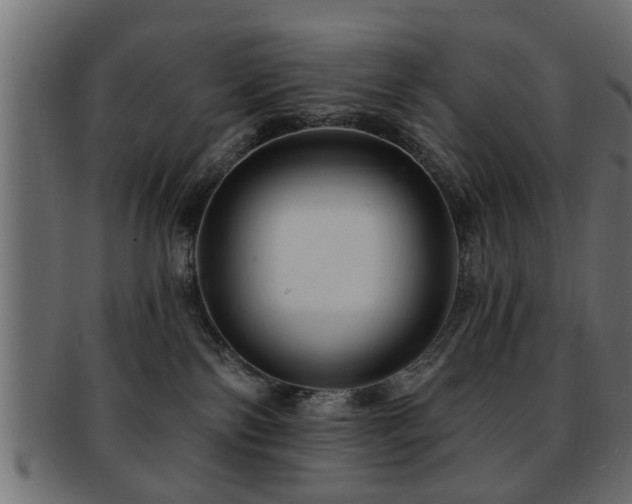 X0000093250138200709261727