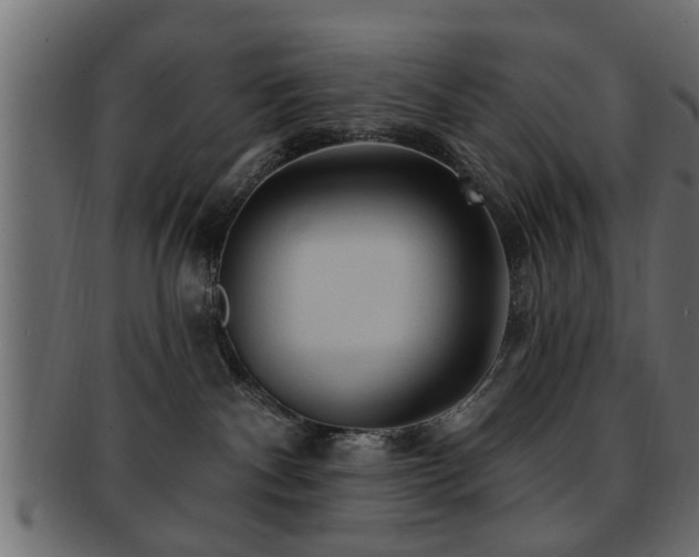 X0000093250140200709261727