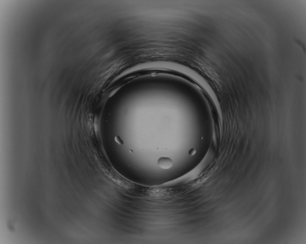 X0000093250141200709261727