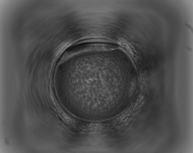 X0000093250145200709261726