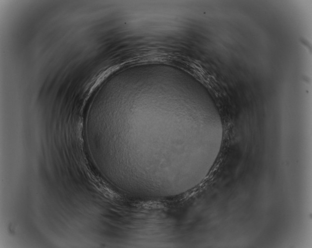 X0000093250146200709261726