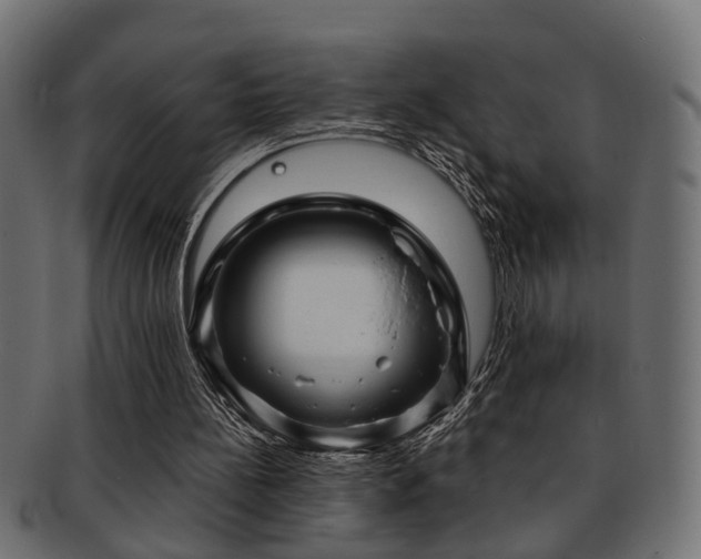 X0000093250148200709261726