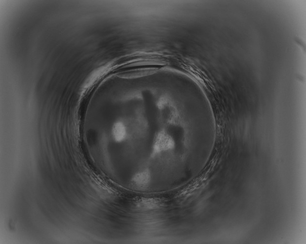 X0000093250149200709261726
