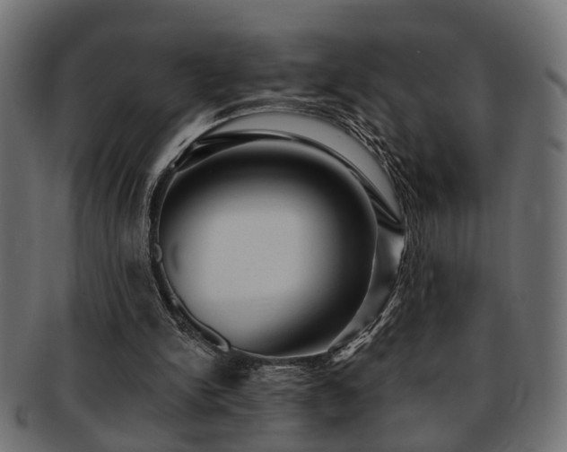 X0000093250150200709261726