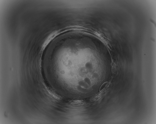 X0000093250151200709261726