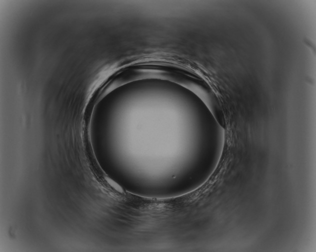 X0000093250152200709261726