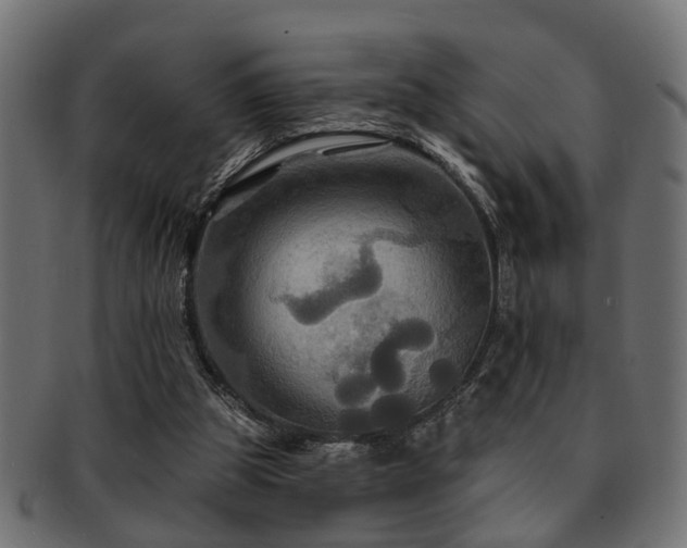 X0000093250153200709261726
