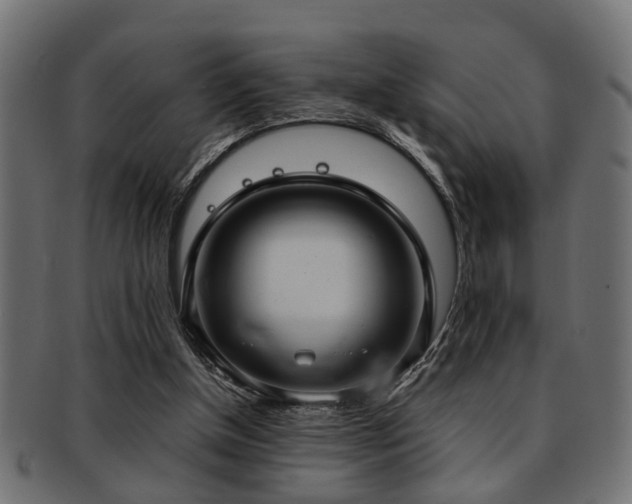 X0000093250154200709261726