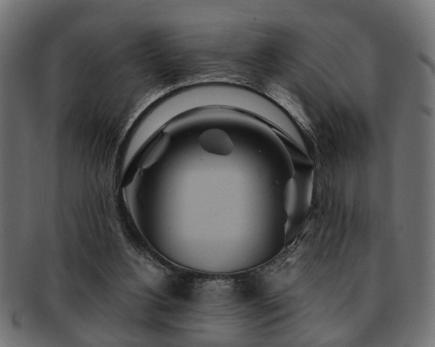 X0000093250156200709261726