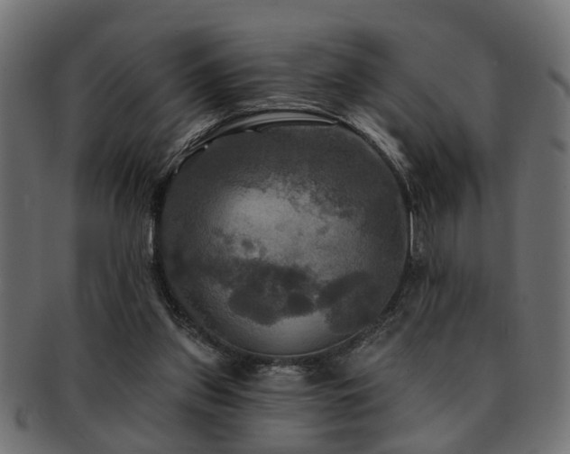X0000093250157200709261726