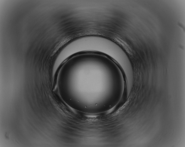 X0000093250158200709261726