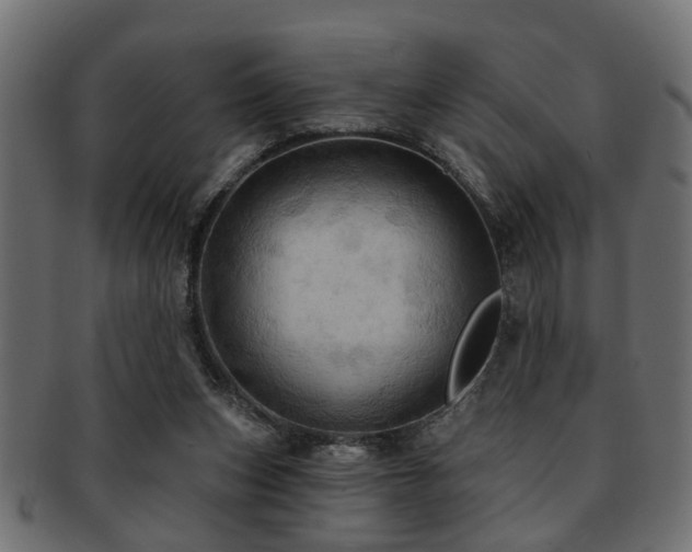 X0000093250159200709261726