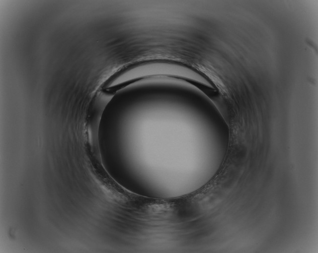 X0000093250160200709261726