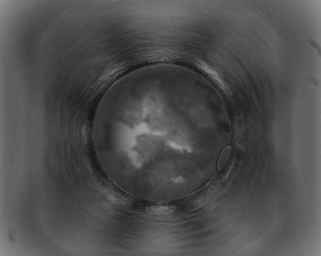 X0000093250161200709261726