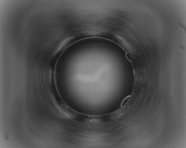 X0000093250163200709261726