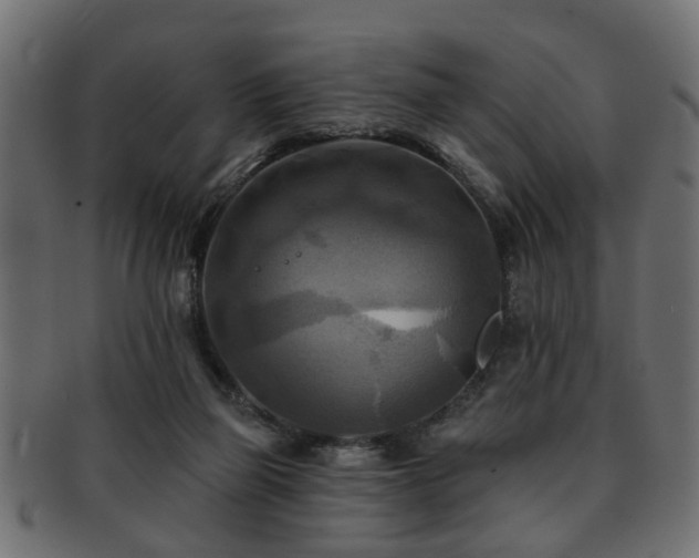 X0000093250165200709261726