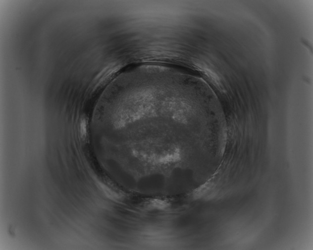 X0000093250166200709261726
