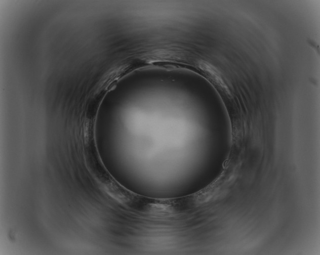 X0000093250167200709261726