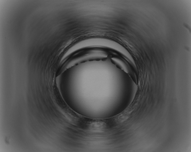 X0000093250168200709261726