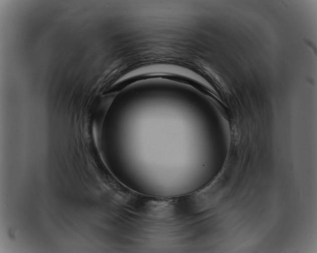 X0000093250170200709261726