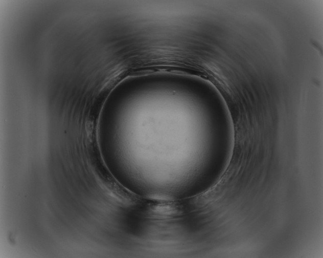 X0000093250171200709261726