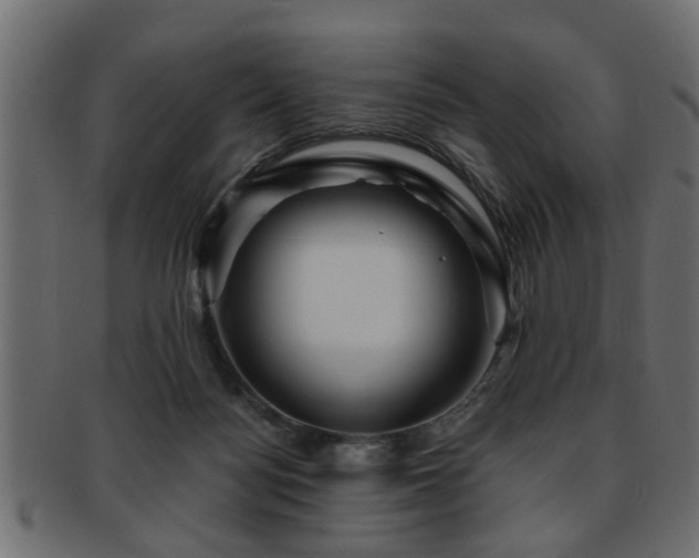 X0000093250172200709261726