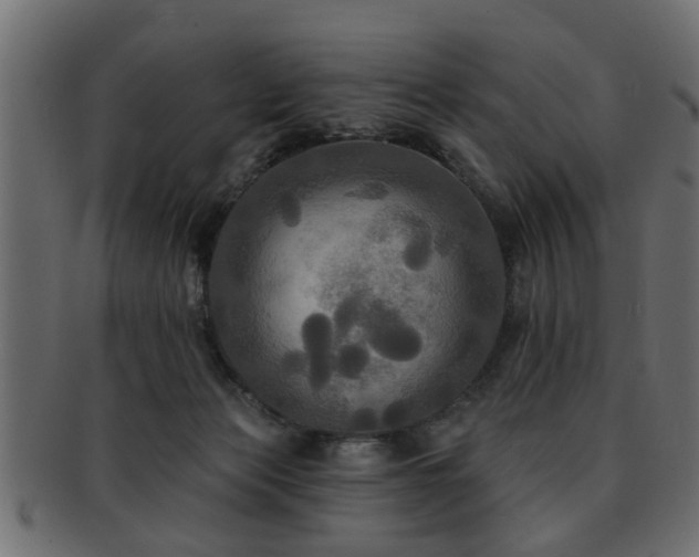 X0000093250173200709261726